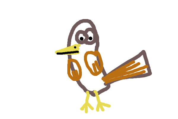 bird