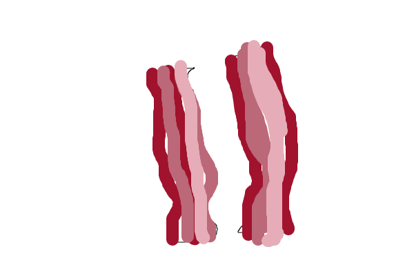 bacon