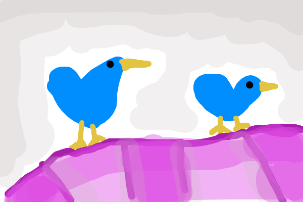the birds