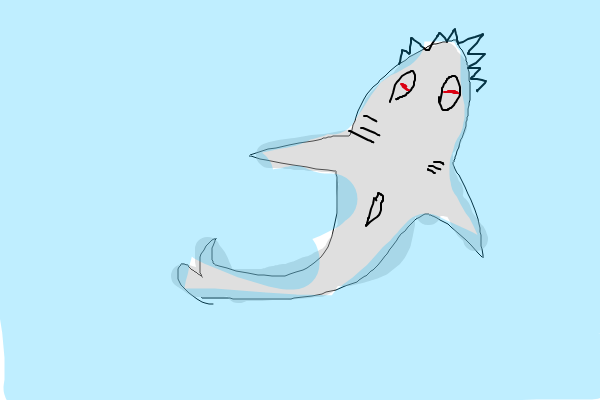 My Shark