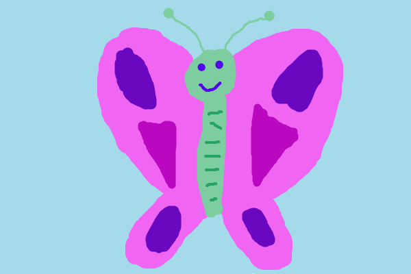 butterfly