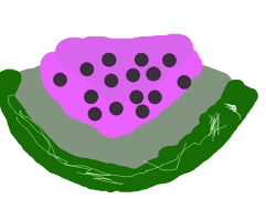 User drawing
