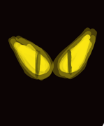 user drawing