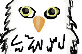 user drawing