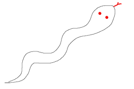 user drawing